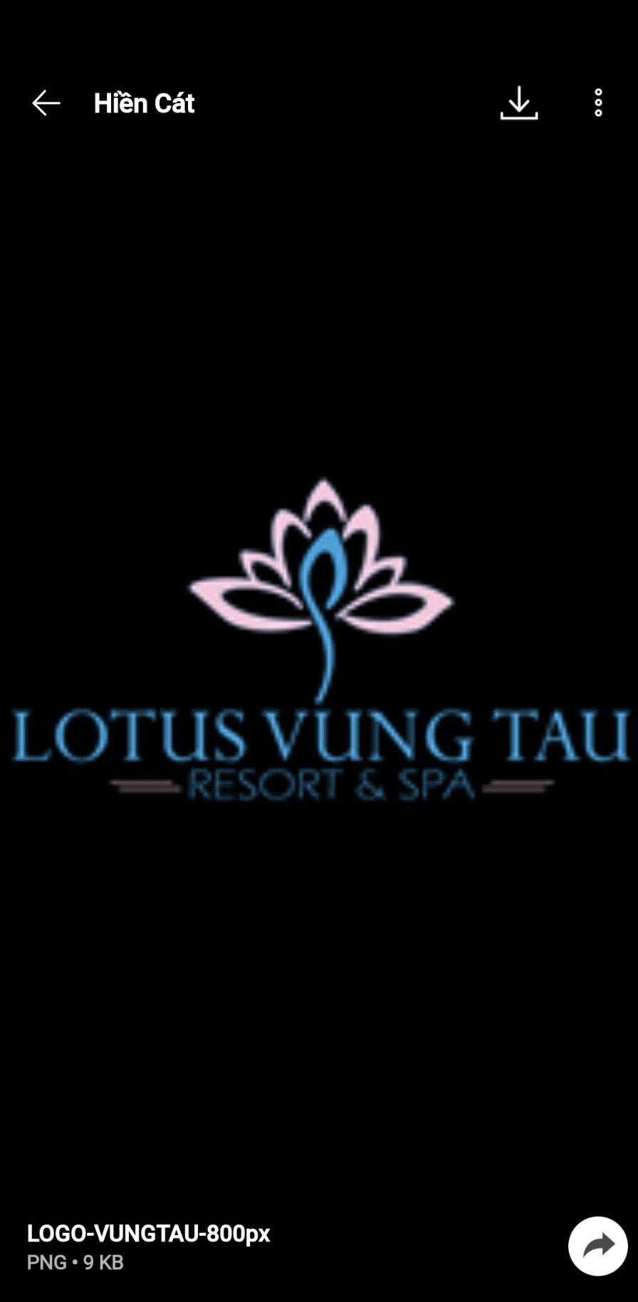 CN CÔNG TY TNHH TM VŨ TÂN - LOTUS VUNG TAU RESORT & SPA